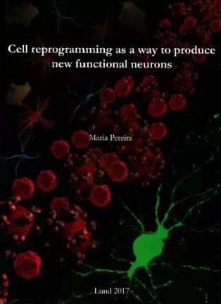 Maria Pereira thesis cover